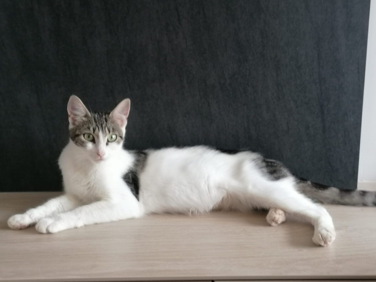 Picture of Noortje